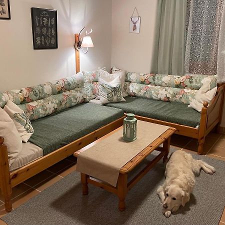 Hundefreundliche Bergwohnung Neben Der Skipiste - Mittelstation Skigebiet Gerlitzen Kanzelhohe Kültér fotó
