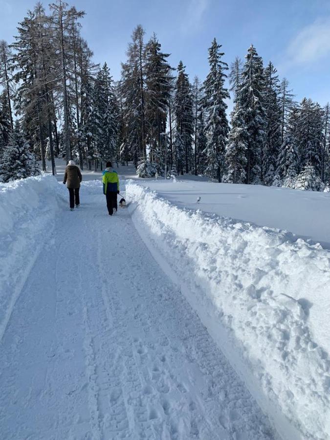 Hundefreundliche Bergwohnung Neben Der Skipiste - Mittelstation Skigebiet Gerlitzen Kanzelhohe Kültér fotó