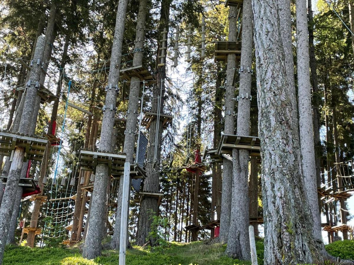 Hundefreundliche Bergwohnung Neben Der Skipiste - Mittelstation Skigebiet Gerlitzen Kanzelhohe Kültér fotó